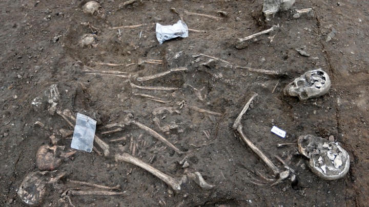 Partial skeleton remains from an ancient burial site