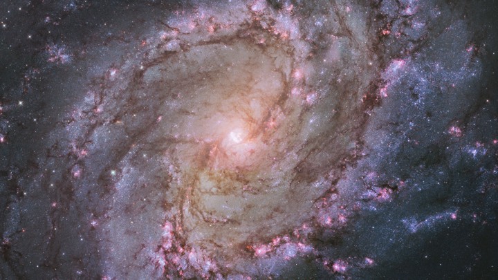 Thousands of pink, purple, and orange stars