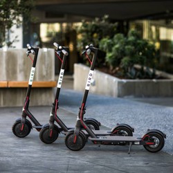 Who Charges Those Electric Bird Scooters The Atlantic