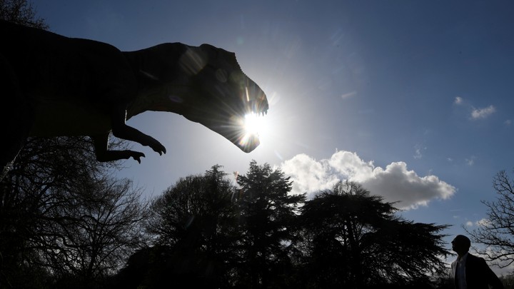 The silhouette of a dinosaur