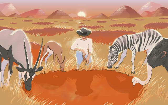 An illustration of a person, a zebra, an ostrich, and antelope standing around a fairy circle
