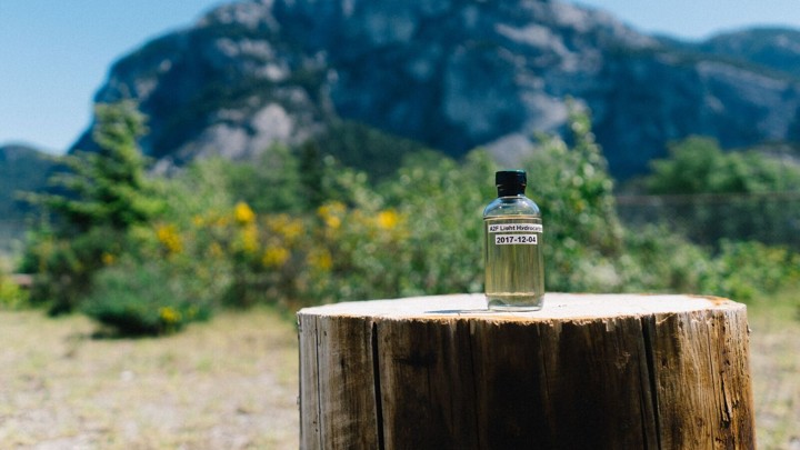 A small bottle of yellowish liquid on a tree stump