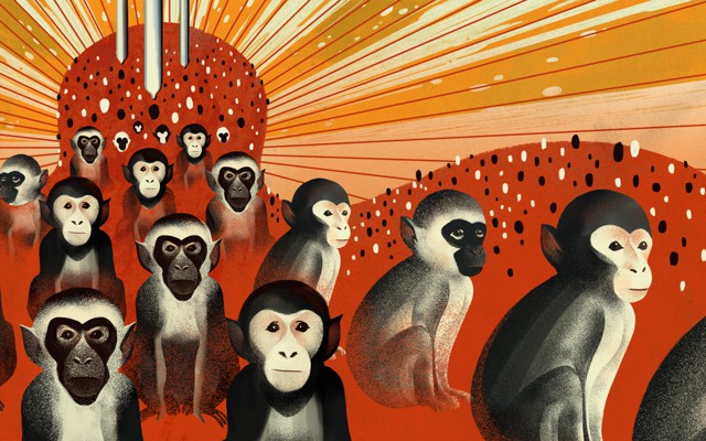 An illustration of monkeys on a red and orange background
