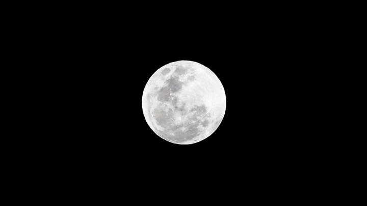 The moon