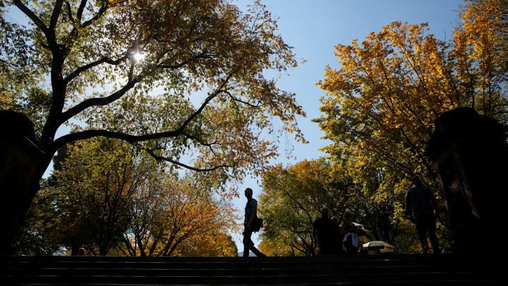 A silhouetted man walking in a park