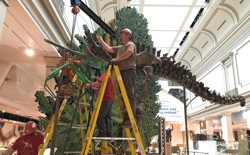 A Diplodocus is being assembled. 