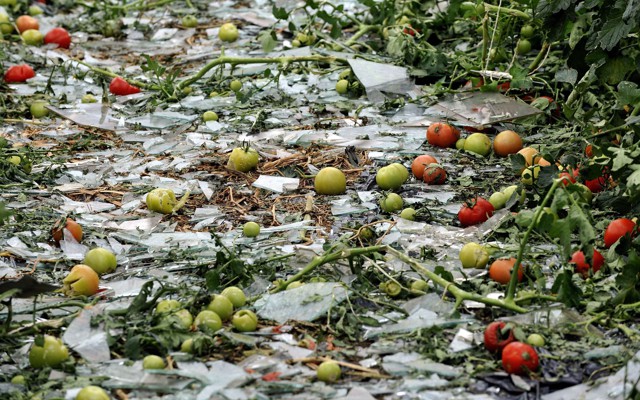 Broken glass and vegetables on the ground