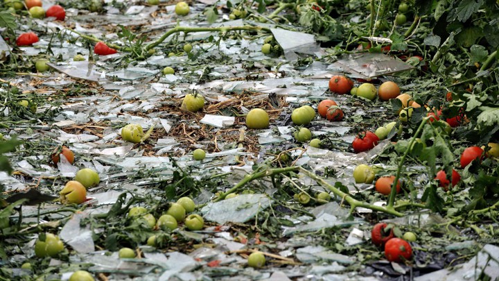 Broken glass and vegetables on the ground