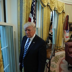 Donald Trump in the Oval Office