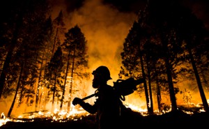 A firefighter watches a controlled burn in Sequoia National Forest in August 2015.