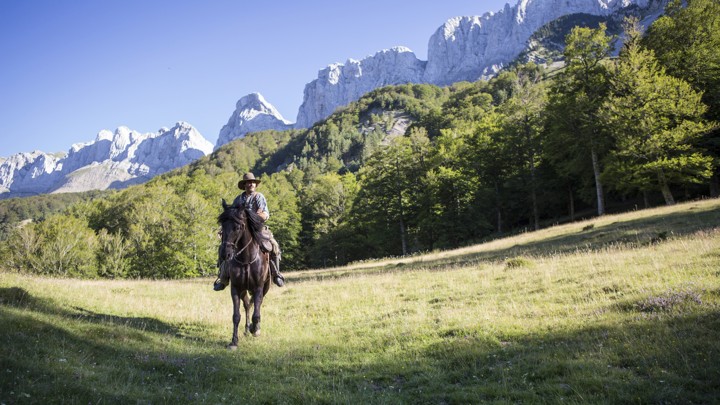 Joaquin Phoenix in 'The Sisters Brothers'