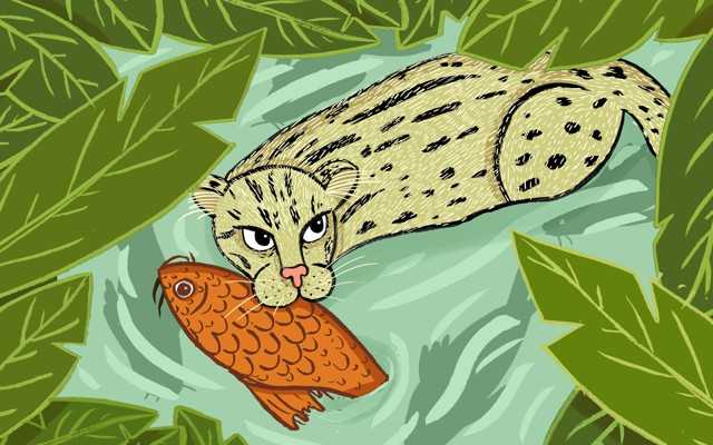An illustration of a fishing cat holding a koi in its mouth
