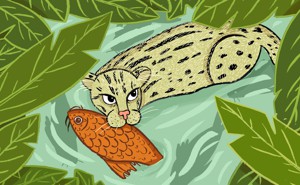 An illustration of a fishing cat holding a koi in its mouth
