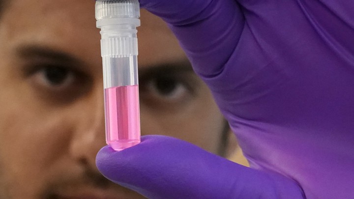 A person wearing a purple glove holds a vial of pink-colored liquid.