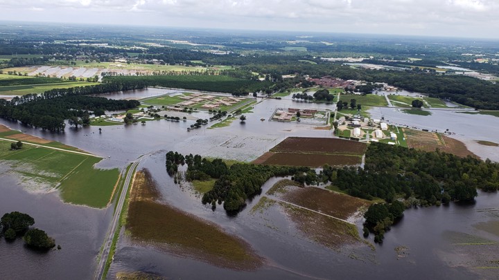Aerial view of farms flooded after Hurricane Florence in eastern North Carolina