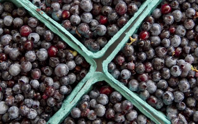 Four cartons of blueberries