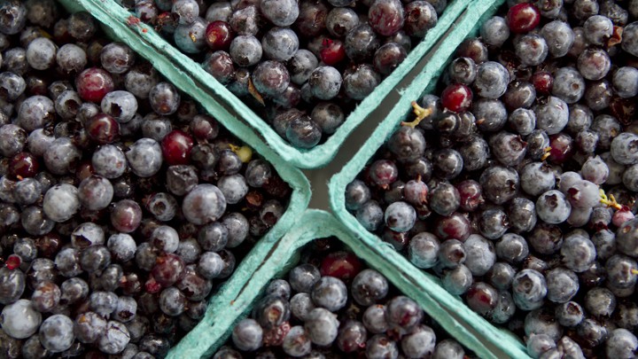 Four cartons of blueberries