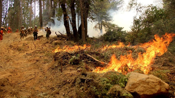 Firefighters battle the Ferguson Fire in California, on August 8, 2018