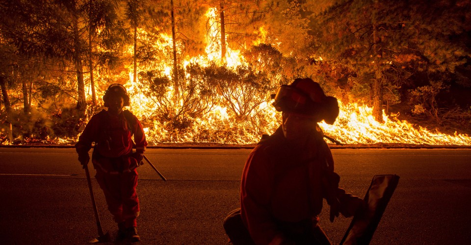 A Grave Climate Warning, Buried on Black Friday