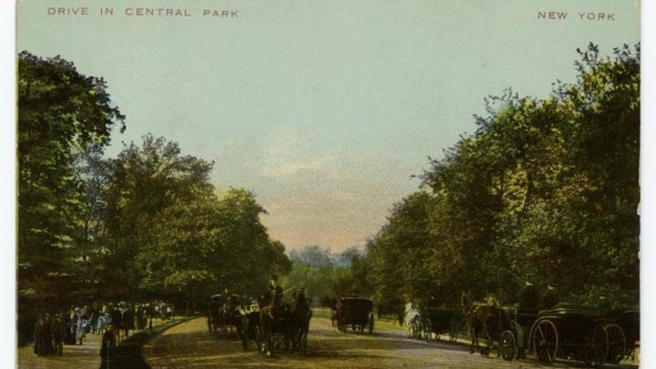 A postcard of Central Park
