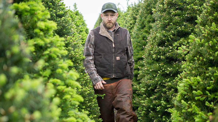 Ben Foster in 'Leave No Trace'