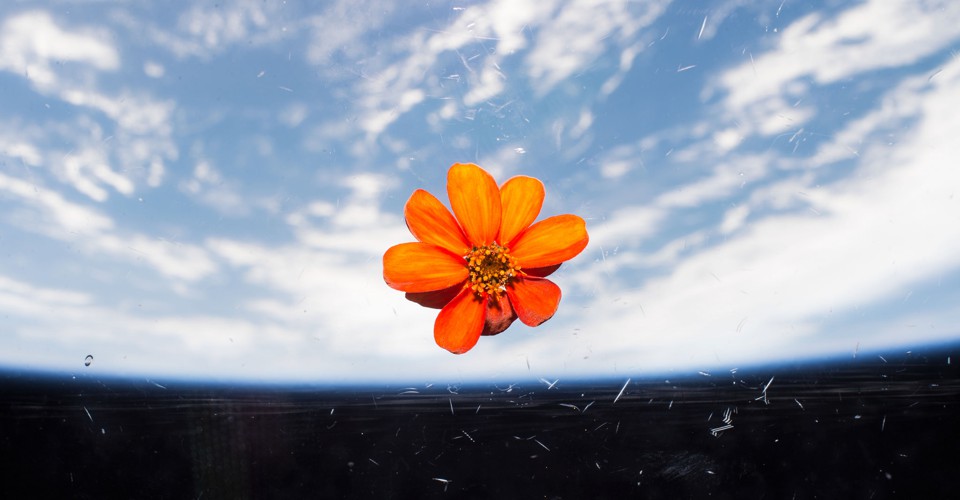 How Astronauts Grow Plants in Space The Atlantic