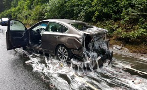 A car is covered in hagfish, and slime, after an accident on Highway 101.