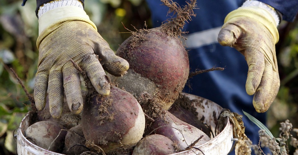 Readers Respond Food Aversions and How to Eat Your Least Favorite