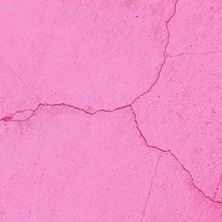 a pink wall - the importance of not buying instagram followers brittanny taylor