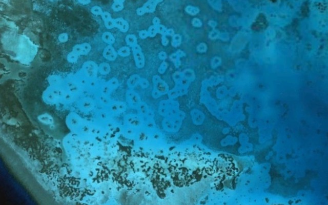 Halos in the Red Sea