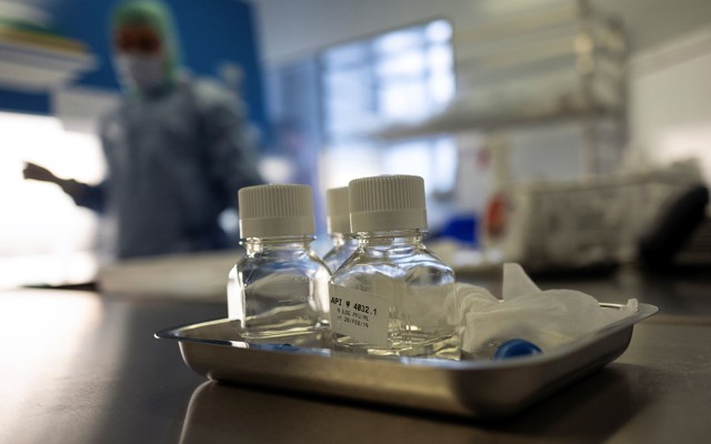 Three types of phages in small, clear bottles