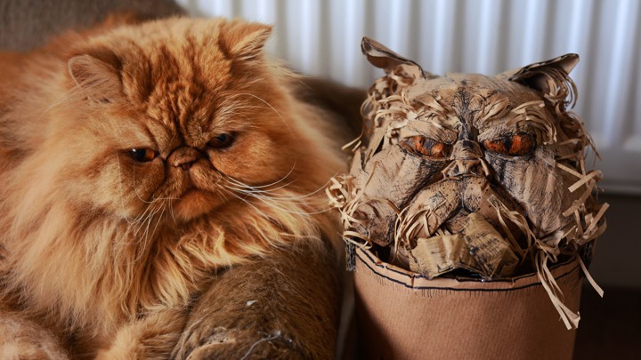 A cat next to a fake look-alike cat