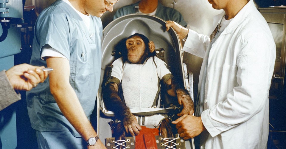 Why Soviets Sent Dogs to Space While Americans Used Primates