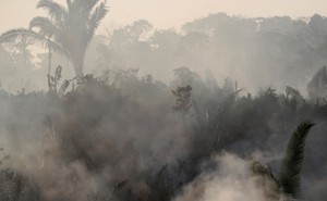 Smoke billows during a fire in an area of the Amazon rainforest near Humaita, Amazonas