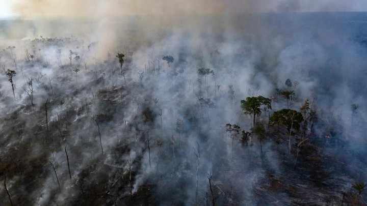 Smoke rises from forest fires in the Amazon rainforest in Brazil.