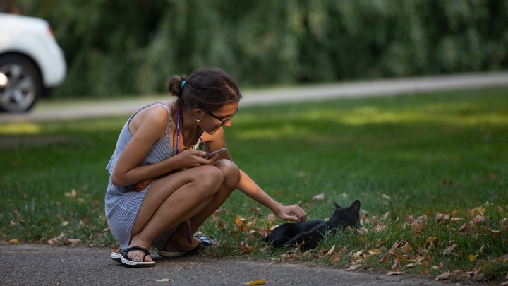 Cat Takes Over College Campus