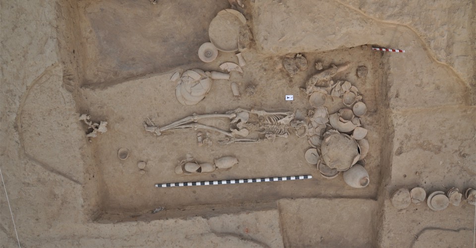 A History of South Asia, Told in Ancient DNA