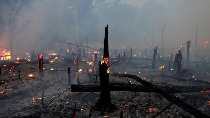 Fire burning in the Amazon