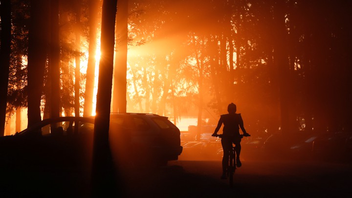 The silhouette of a person riding a bike through the woods as the sun sets