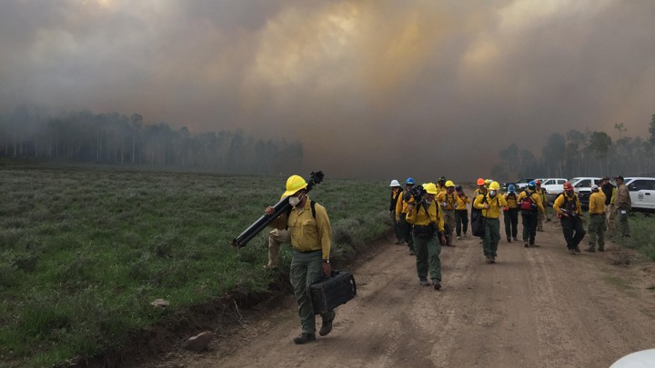 Fire scientists walk down a dirt road with a smoke-filled sky in the background.