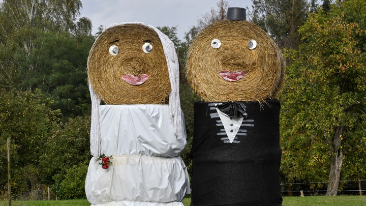 Bales of hay dressed up to look like a bride and groom