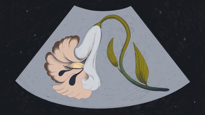 Baby Health in Winter An illustration of an sonogram with a weeping flower inside.