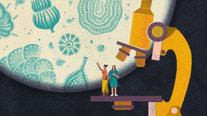 An illustration of two friends on top of a microscope looking at plankton.