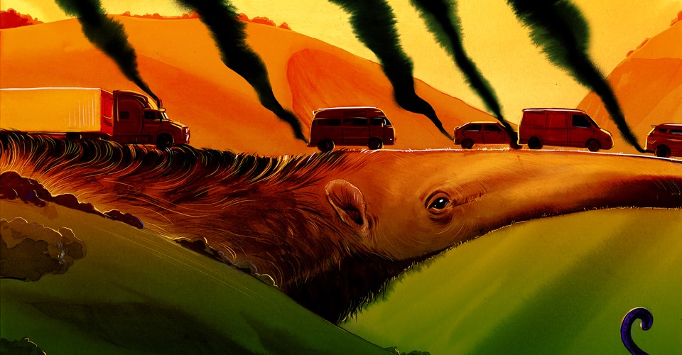 Roads Are Decimating Brazil’s Giant Anteaters
