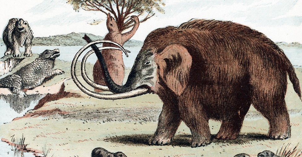 How a 35,000-Year-Old Frozen Woolly Mammoth Tastes