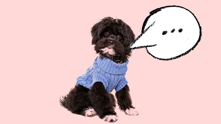 A dog with a speech bubble coming out of its mouth.
