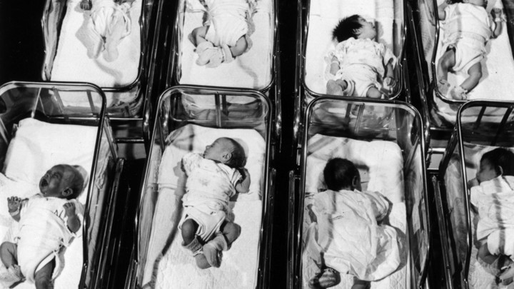 New born babies in an American hospital 1950