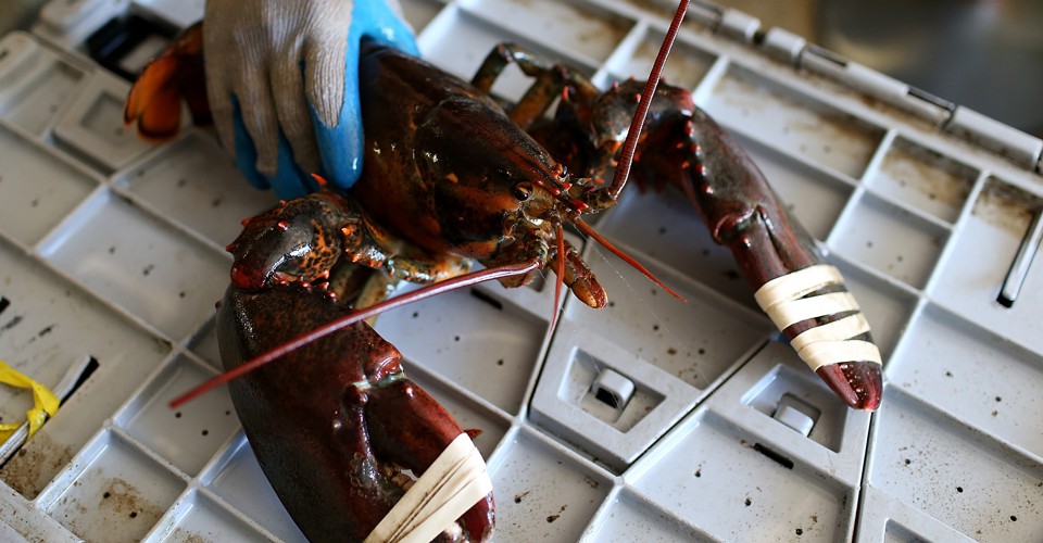 How Clam Juice and Lobster Bisque Turned Around a Tiny Maine Town - The Atlantic
