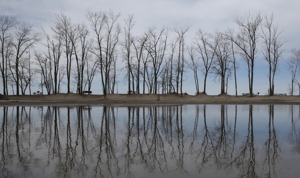 Trees are reflected in a puddle at Presque Isle State Park in Erie, Pennsylvania.