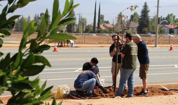 Planting trees as part of a green initiative in the southern California town of Redlands.
